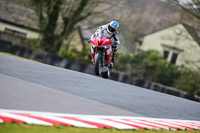 Oulton-Park-21st-March-2020;PJ-Motorsport-Photography-2020;anglesey;brands-hatch;cadwell-park;croft;donington-park;enduro-digital-images;event-digital-images;eventdigitalimages;mallory;no-limits;oulton-park;peter-wileman-photography;racing-digital-images;silverstone;snetterton;trackday-digital-images;trackday-photos;vmcc-banbury-run;welsh-2-day-enduro